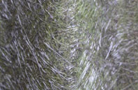 Overton Bridge fibreglass roof work